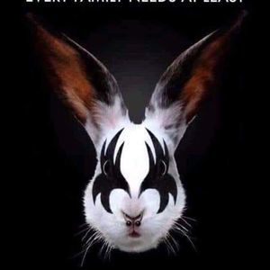 Meet your Posher, Robin